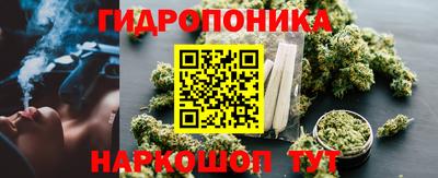 стаф Славгород