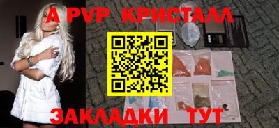 стаф Славгород