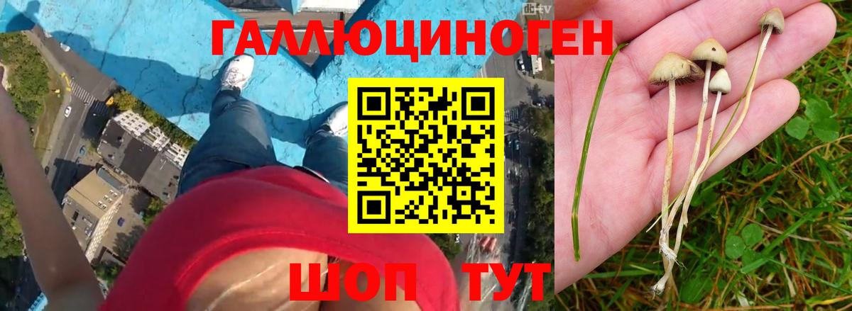 Псилоцибиновые грибы MAGIC MUSHROOMS Ипатово